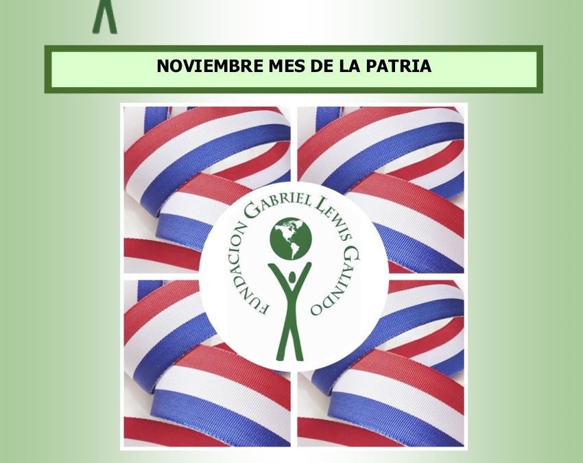 Noviembre 2019