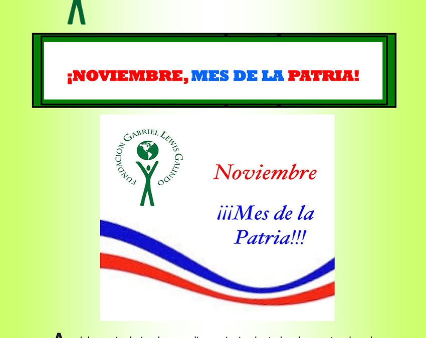Noviembre 2020