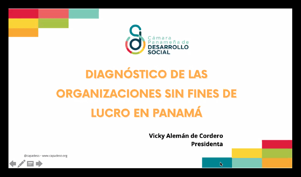 Dianóstico de Organizaciones Sin Fines de Lucro en Panamá