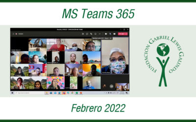 MS Teams 365