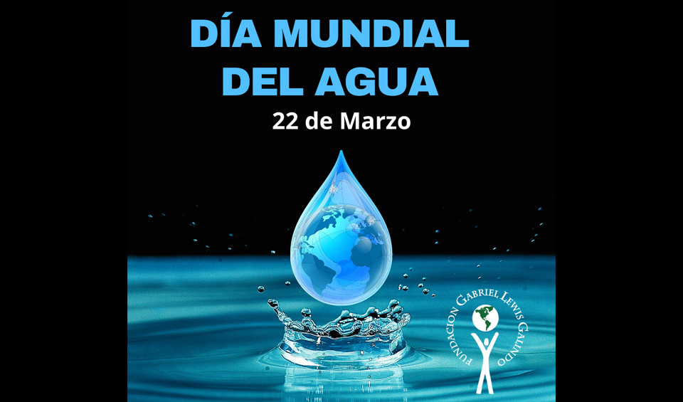 Día Mundial del Agua