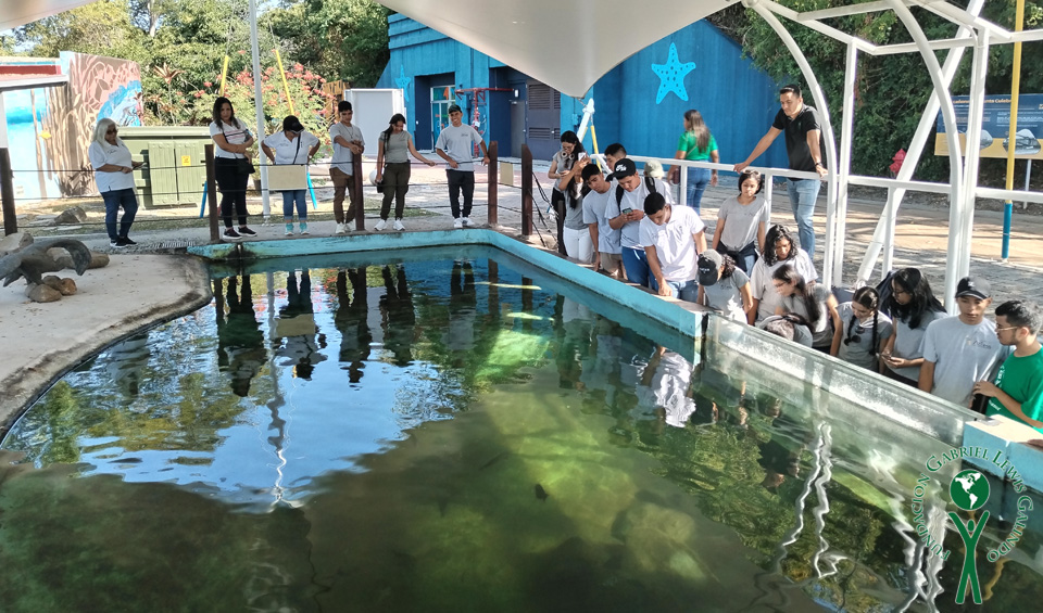 Enhancement Activities - Punta Culebra