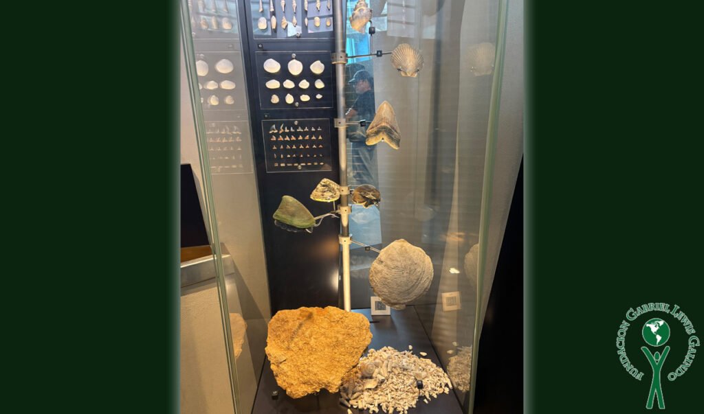 LET Program visita el BioMuseo