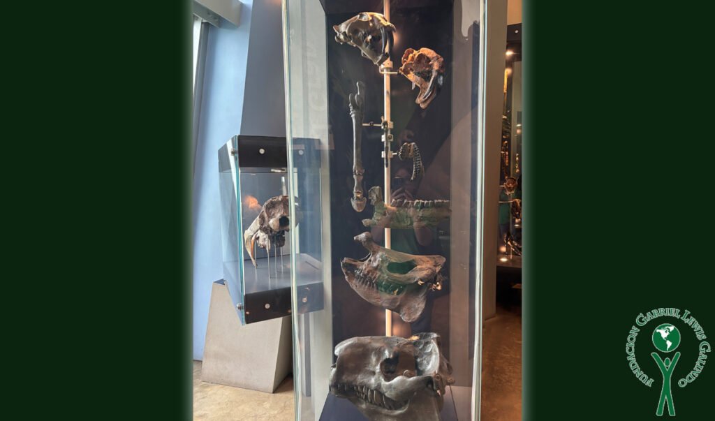 LET Program visita el BioMuseo